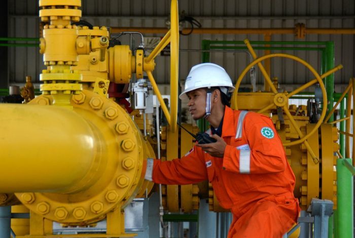 Government to Import Gas for Industry