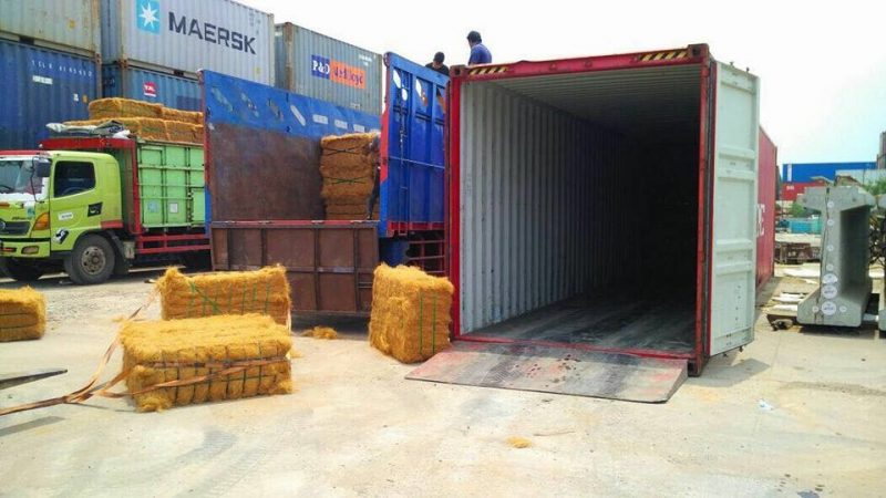 Indragiri Hilir bakal Memasok Sabut Kelapa ke Industri Otomotif