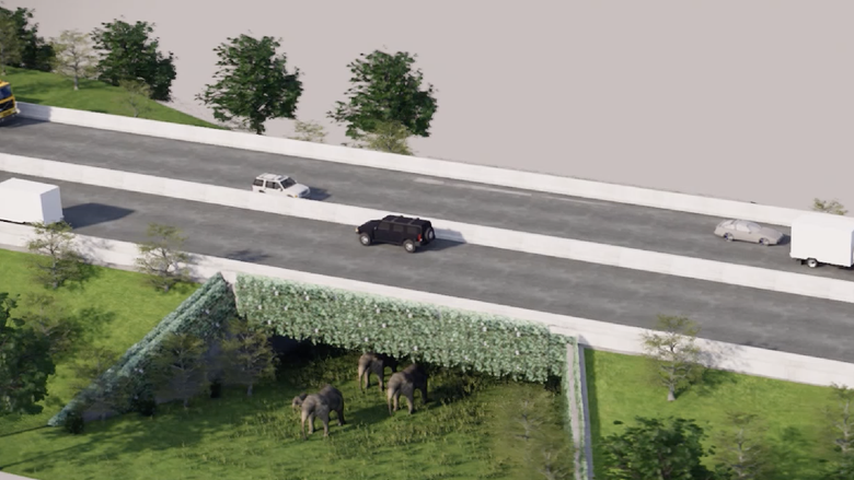 Lebih dari 10 Terowongan Penyeberangan Gajah Liar di Jalan Tol Riau dan Aceh