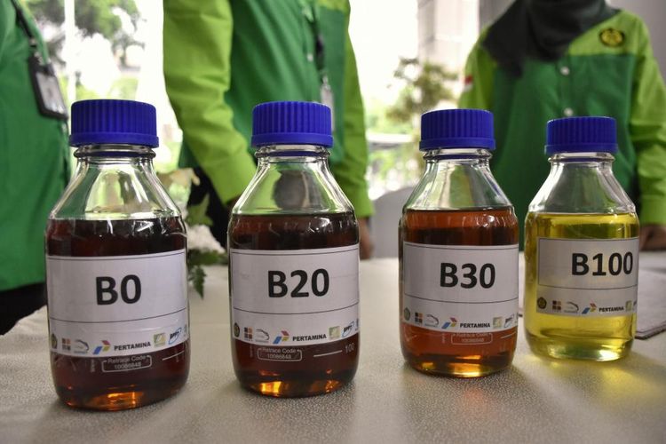 GAIKINDO: Pengembangan Biofuel Perlu Dorongan Lebih Kuat