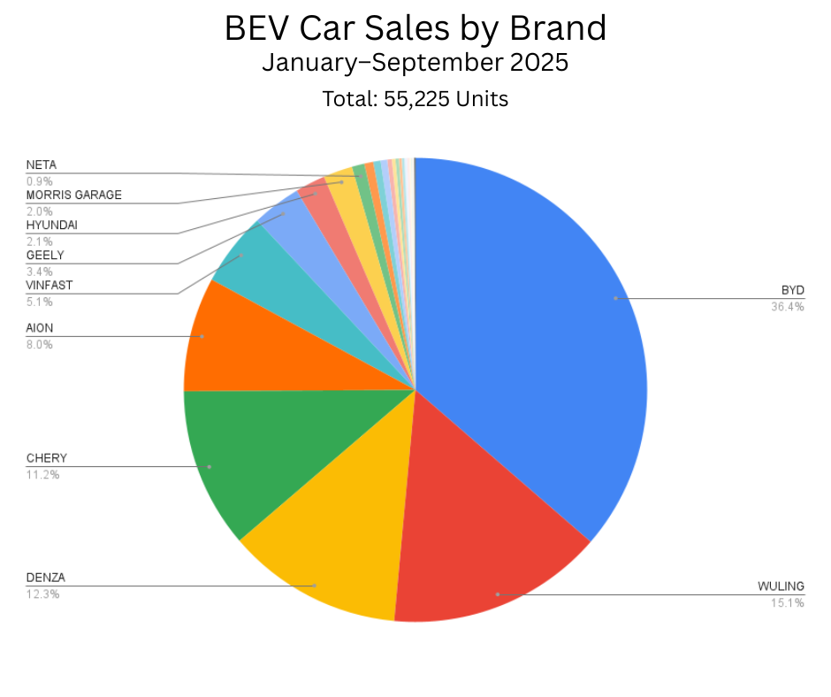 BEV Car Sales by Brand, January–September 2025